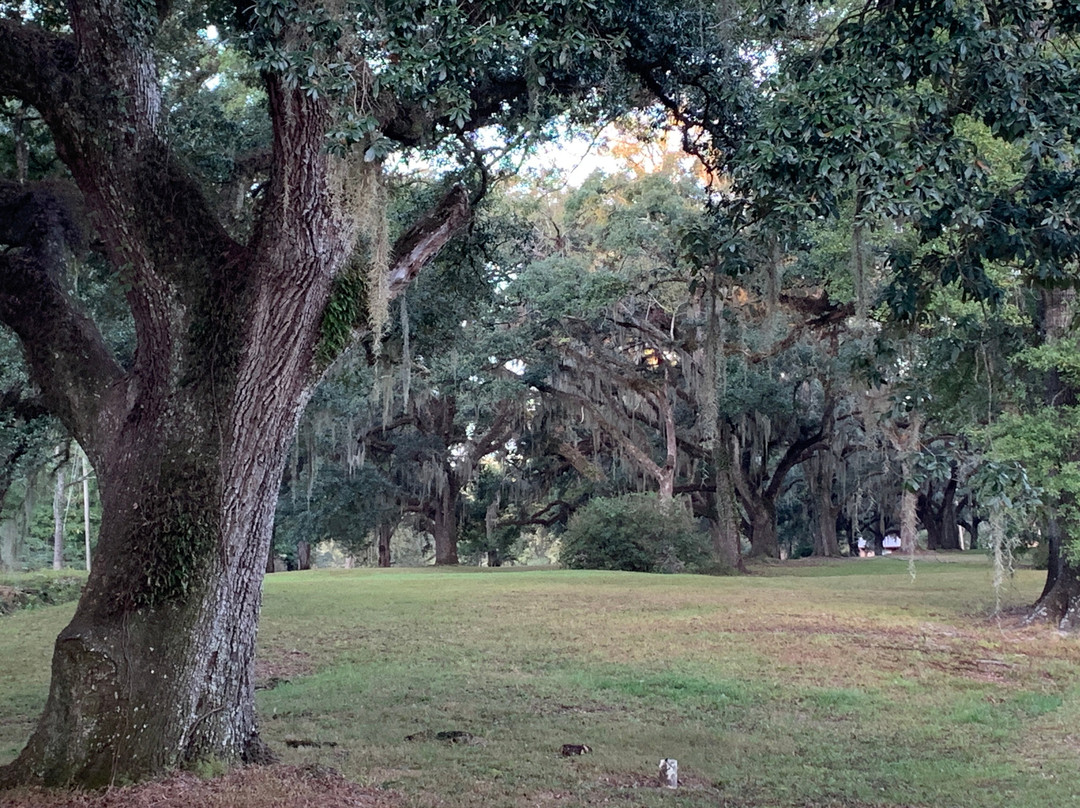 Greenwood Plantation主图