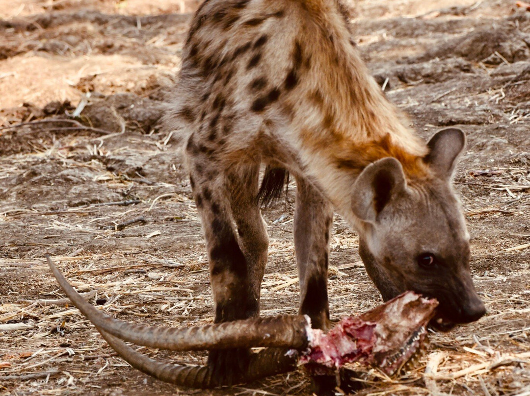 EverseenAfrica-霍德斯普鲁特必去景点
