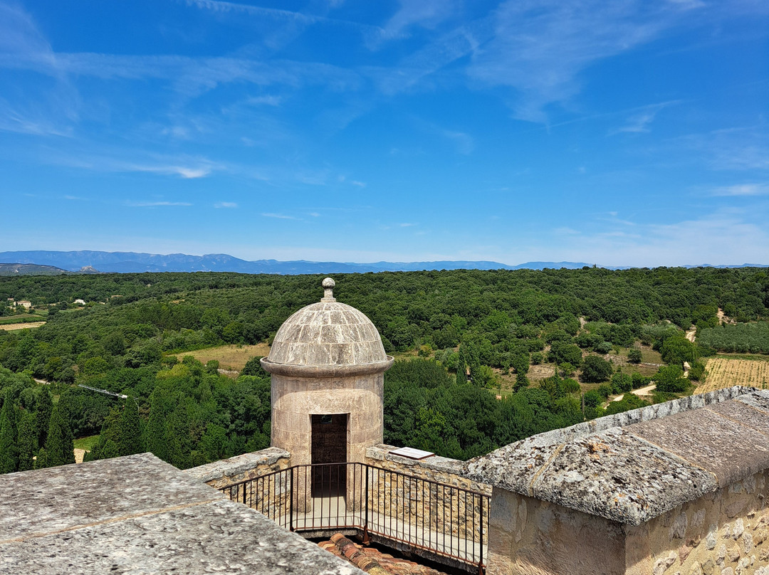 Château Des Roure-Labastide-de-Virac必去景点