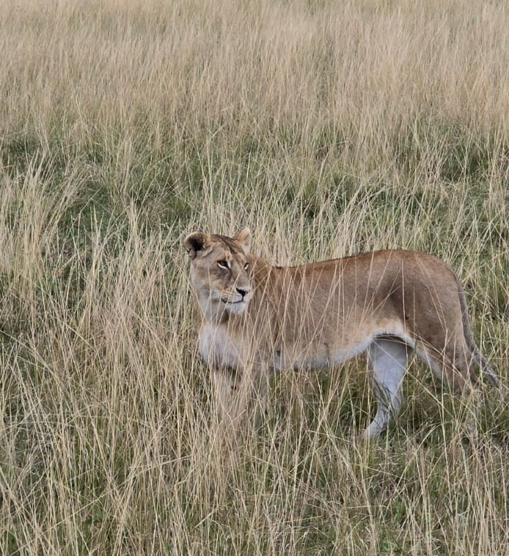 Lordstown Travel-Karen必去景点