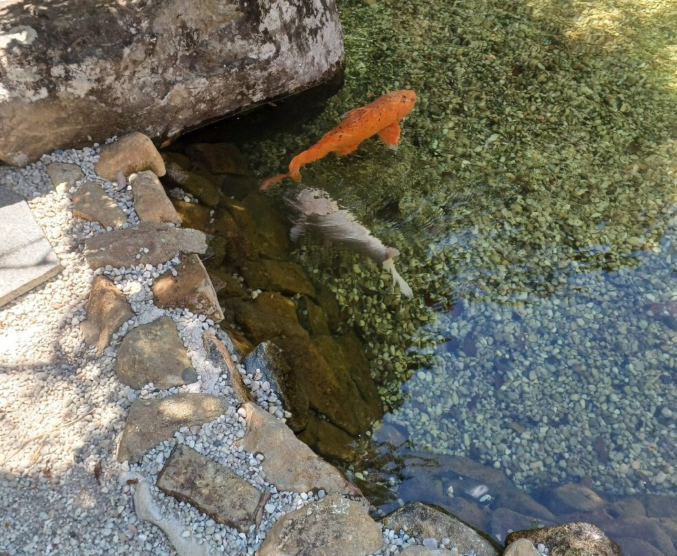 Recanto Japones-Pocos de Caldas必去景点