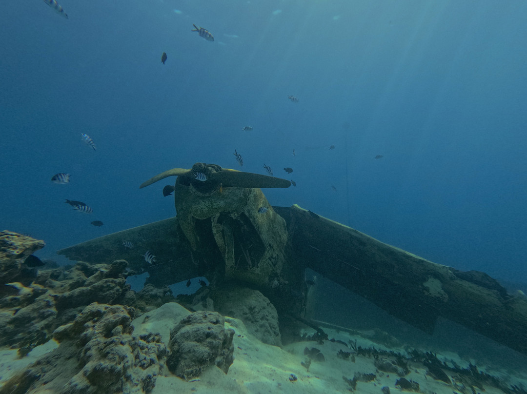 Dive and Sea Tahiti - Base nautique de Puna'auia-普纳奥亚必去景点
