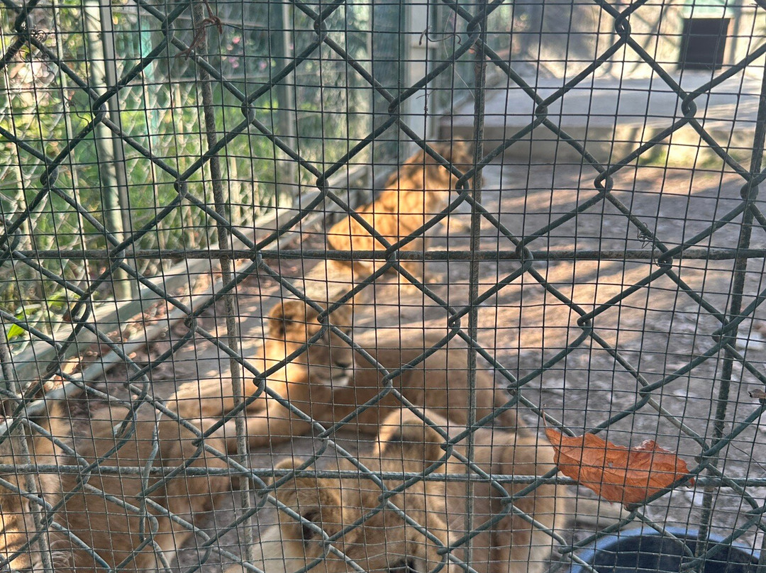 Berkem Aslan Diyari-Golbasi必去景点