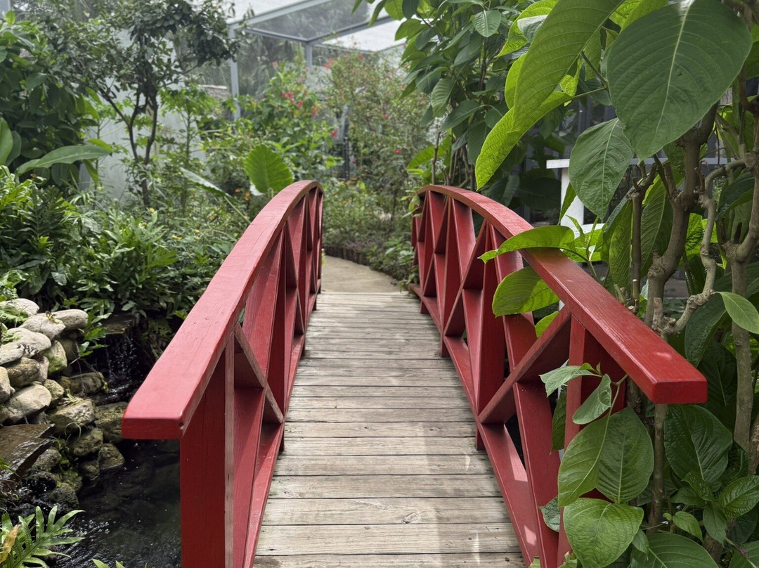 Jardin Botanico de Santiago-圣地亚哥必去景点
