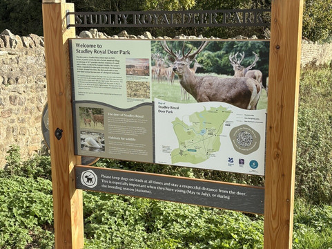 里彭北约克郡白马酒店主图