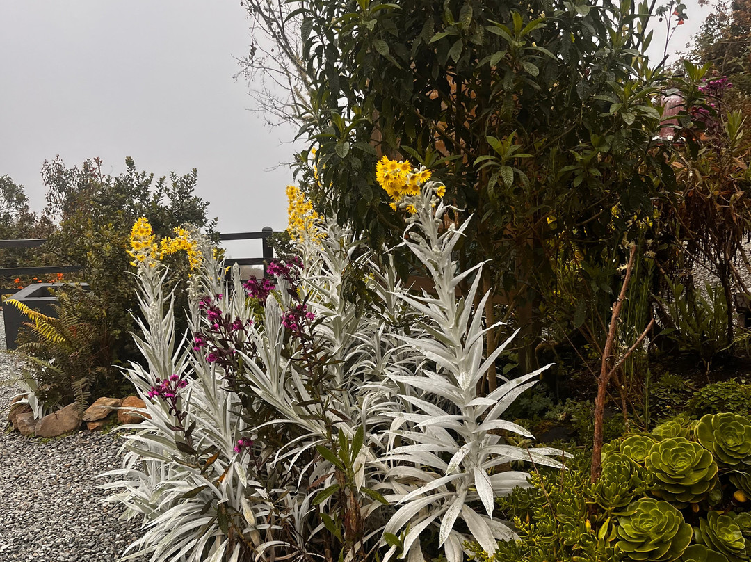 Laguna Negra Parque Reserva Natural-Manizales必去景点