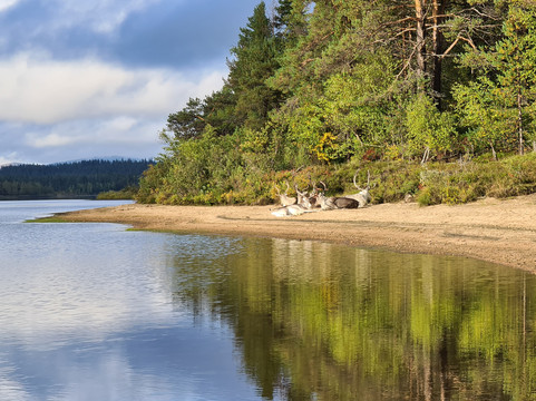 Salamapaja-奥卢必去景点