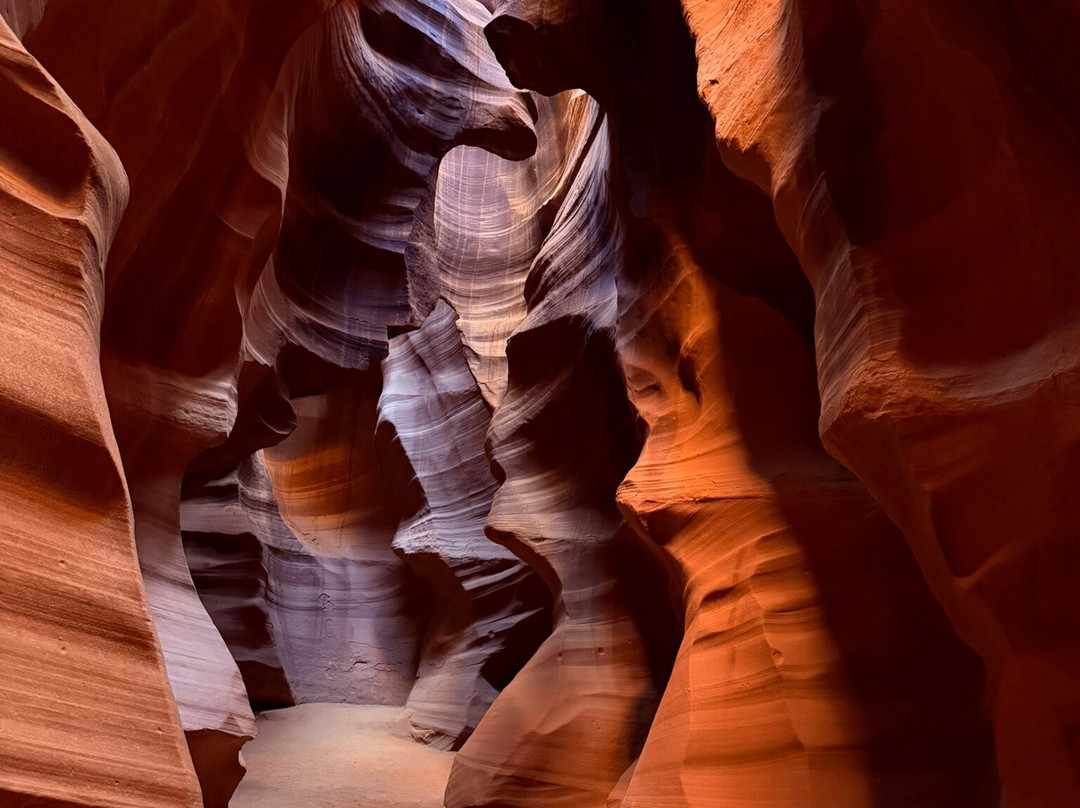 Antelope Canyon Tours by Roger Ekis-佩吉必去景点
