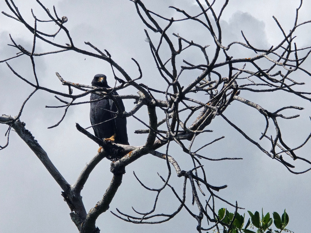 Guia Naturalista William Canto-里奥拉加托斯必去景点
