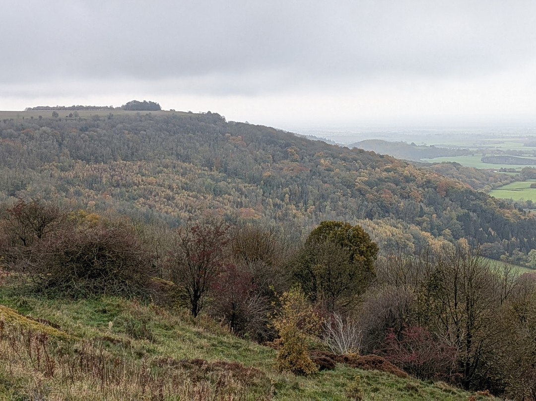 Sutton Bank National Park Centre-瑟斯克必去景点