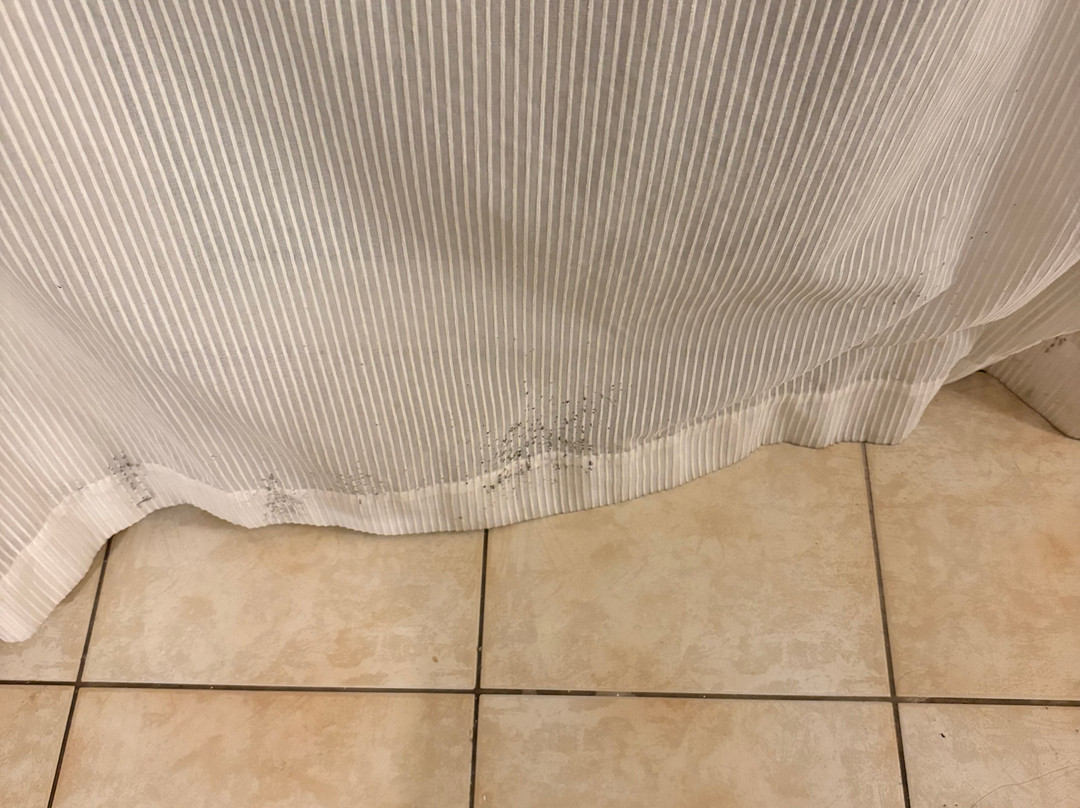 Canvas by Mitsis Messonghi