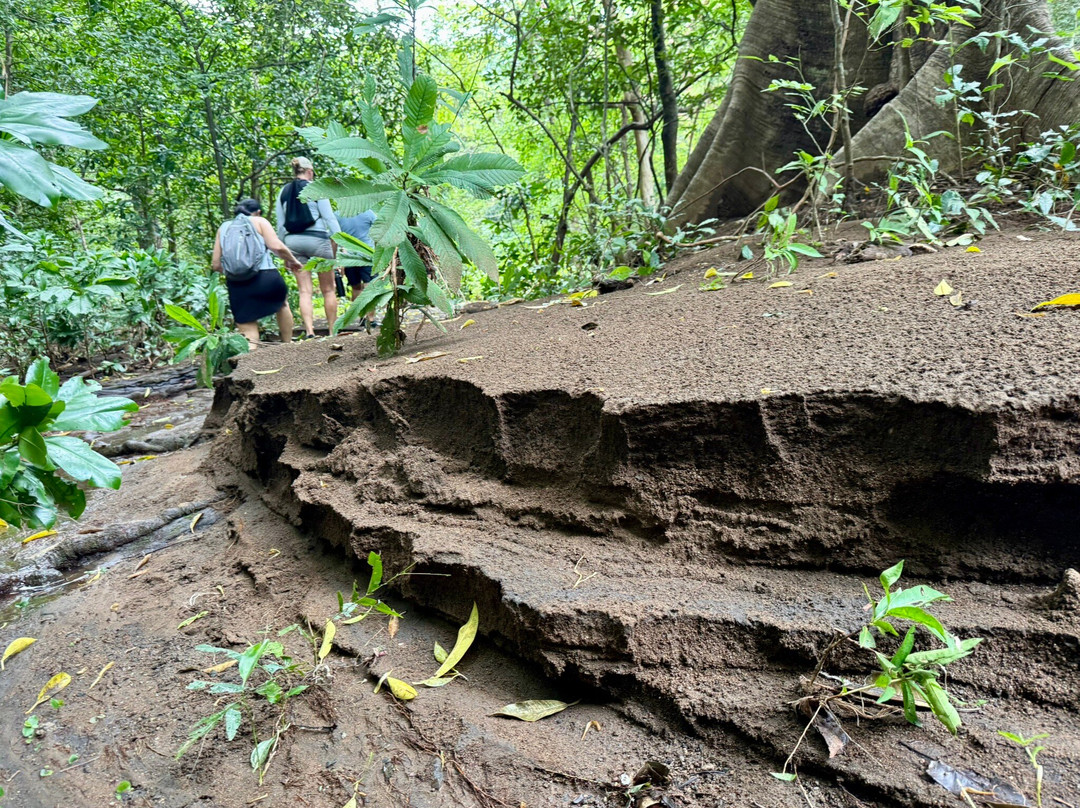 Pargos Adventures Day Tours-Playa Negra必去景点