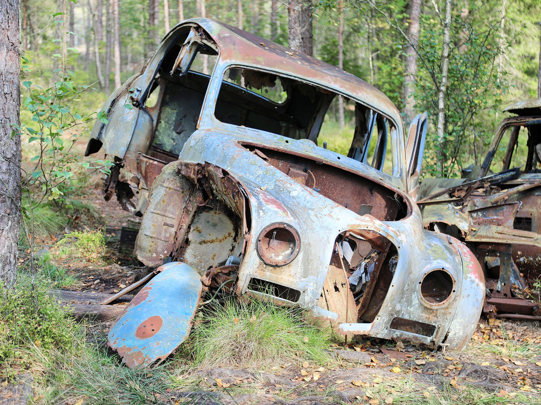 Kyrkö Mosse-Ryd必去景点