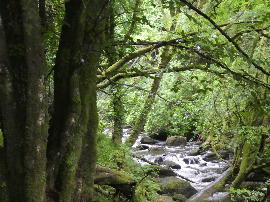 Torc Waterfall-基拉尼必去景点