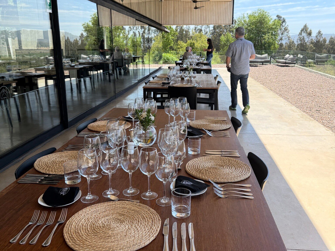 Kingston Family Vineyards-卡萨布兰卡必去景点