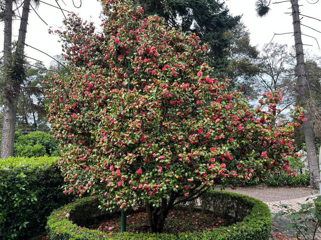 Casa Silva Hotel主图