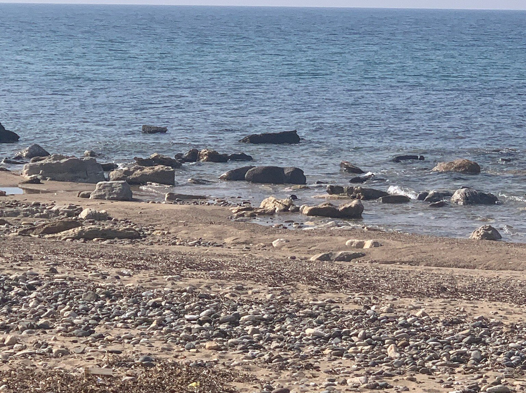 Troas Antik Liman-Ezine必去景点