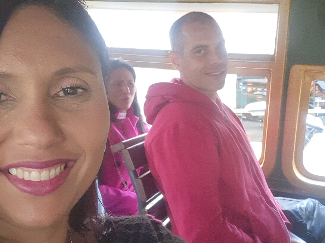 Parque Olivas de Gramado-格拉玛多必去景点