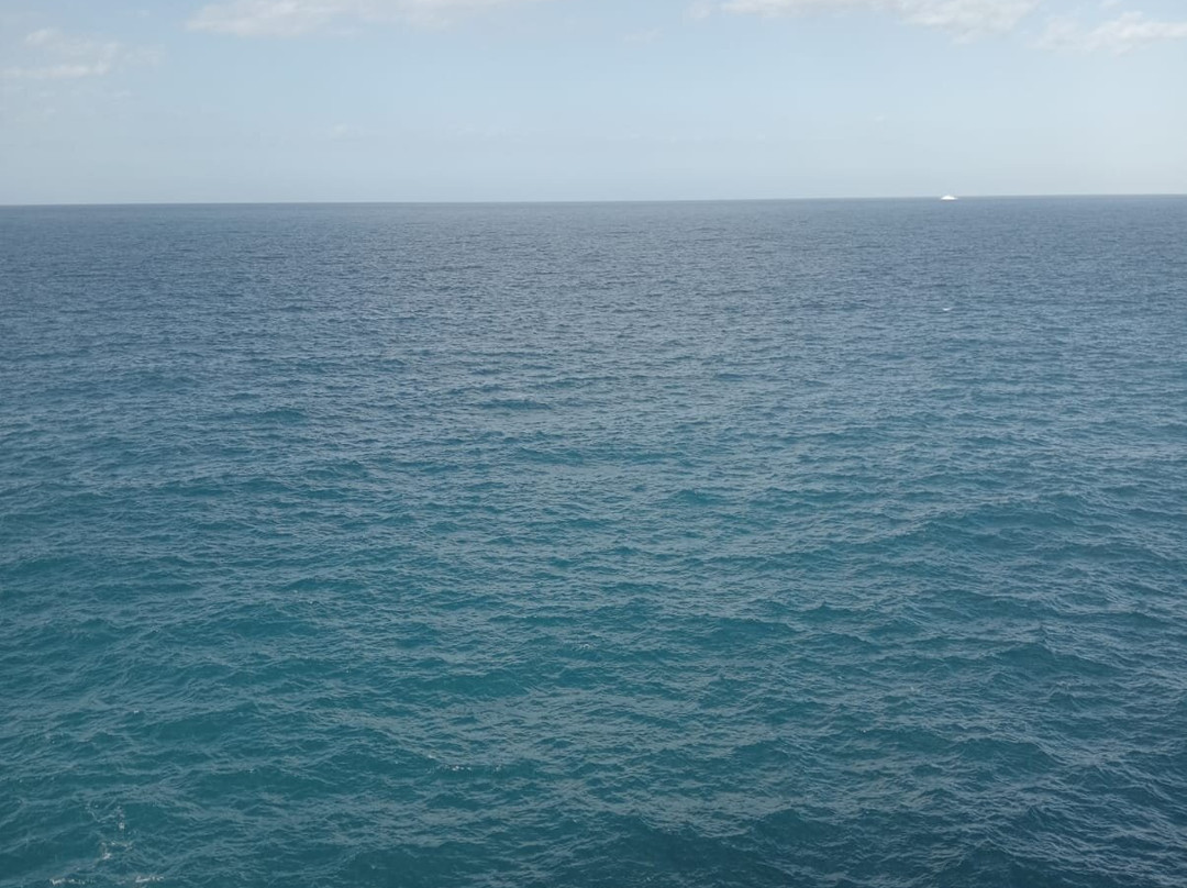 Balconata Vico Gualdella-波利尼亚诺阿马雷必去景点