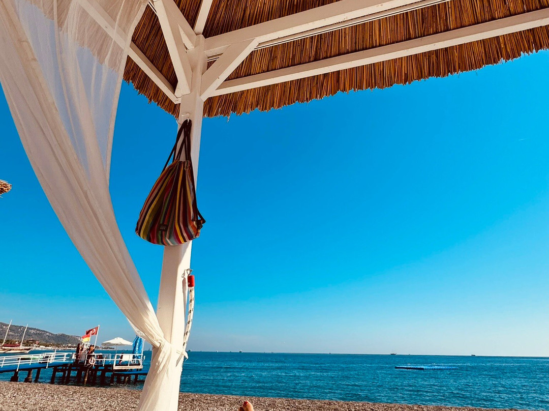 Robinson Camyuva主图