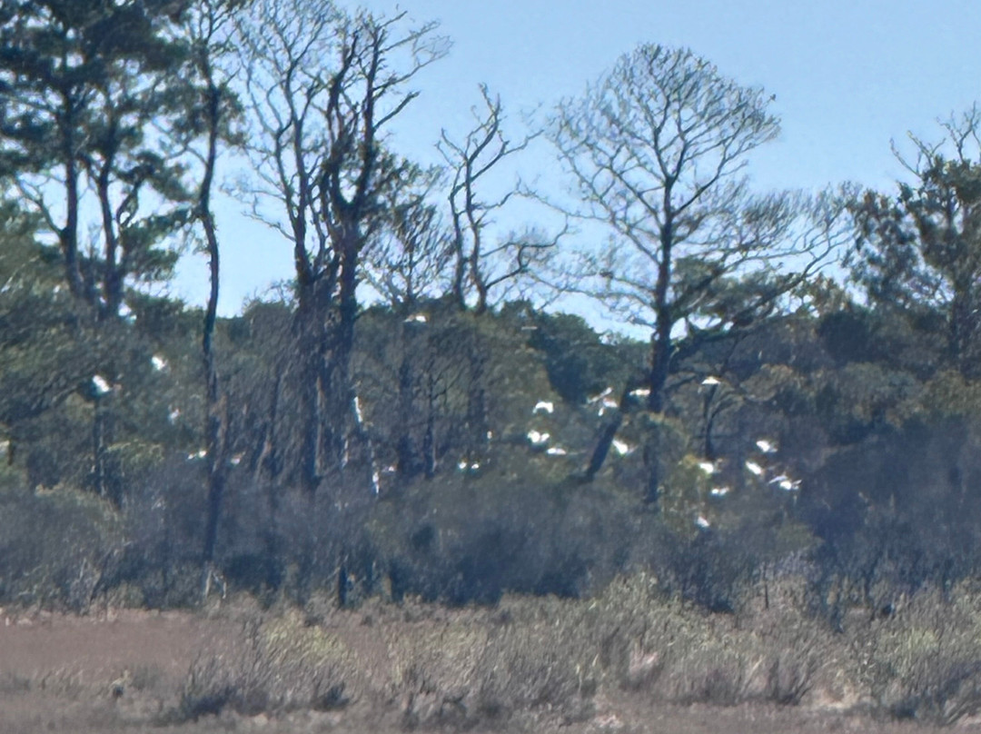 Captain Dan's Around the Island Tours-钦科蒂格岛必去景点