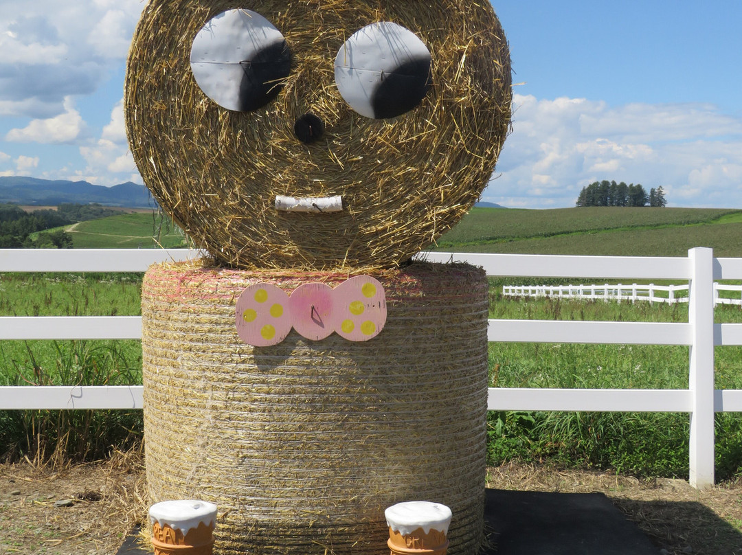 Shikaoi Observation Hill Park-鹿追町必去景点