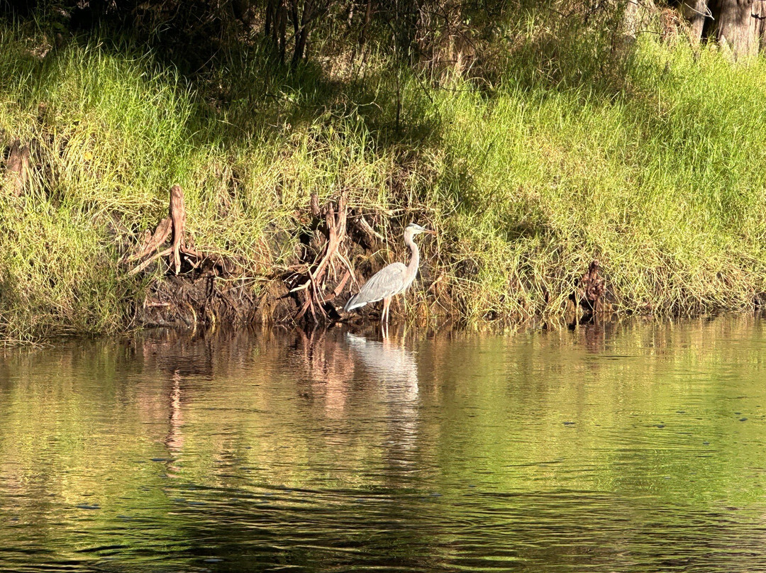 Fossil Junkies, Llc-Alva必去景点