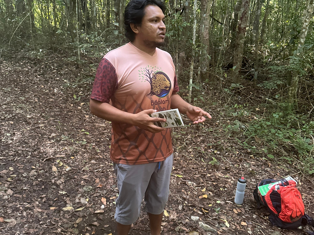 Báalam Nah; Experiencias de Aventura.-Felipe Carrillo Puerto必去景点