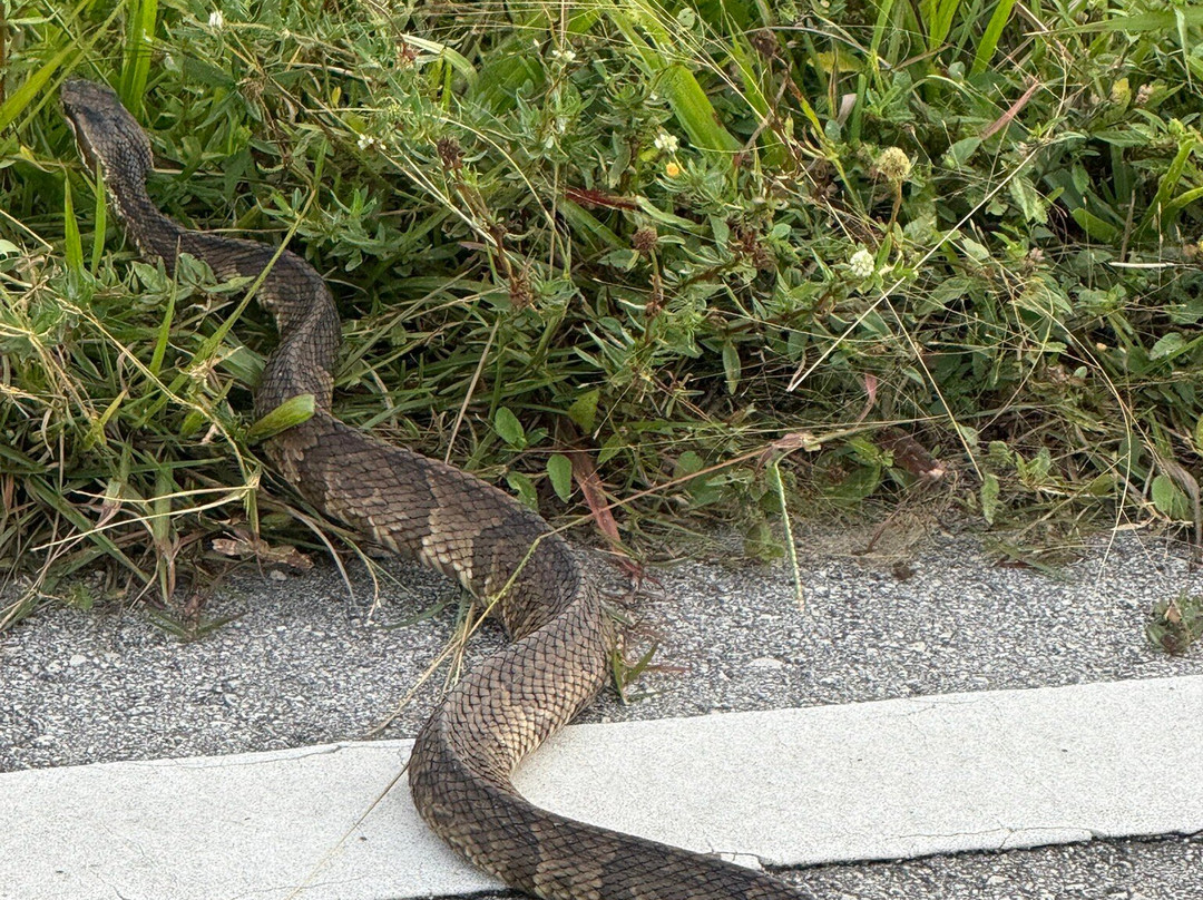Florida National Parks Association-霍姆斯特德必去景点