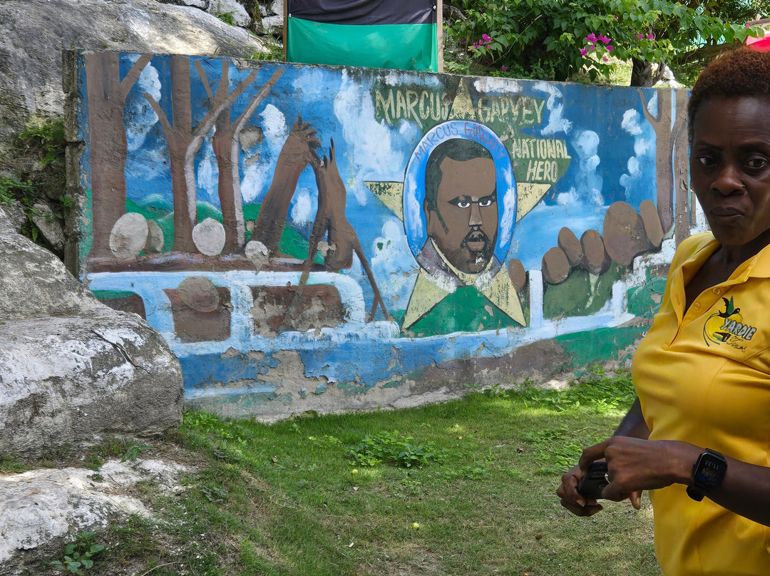 Yardie Tours-奥乔里奥斯必去景点