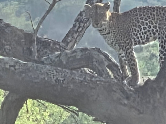 Hills in the Mist Tours-吉佳利必去景点