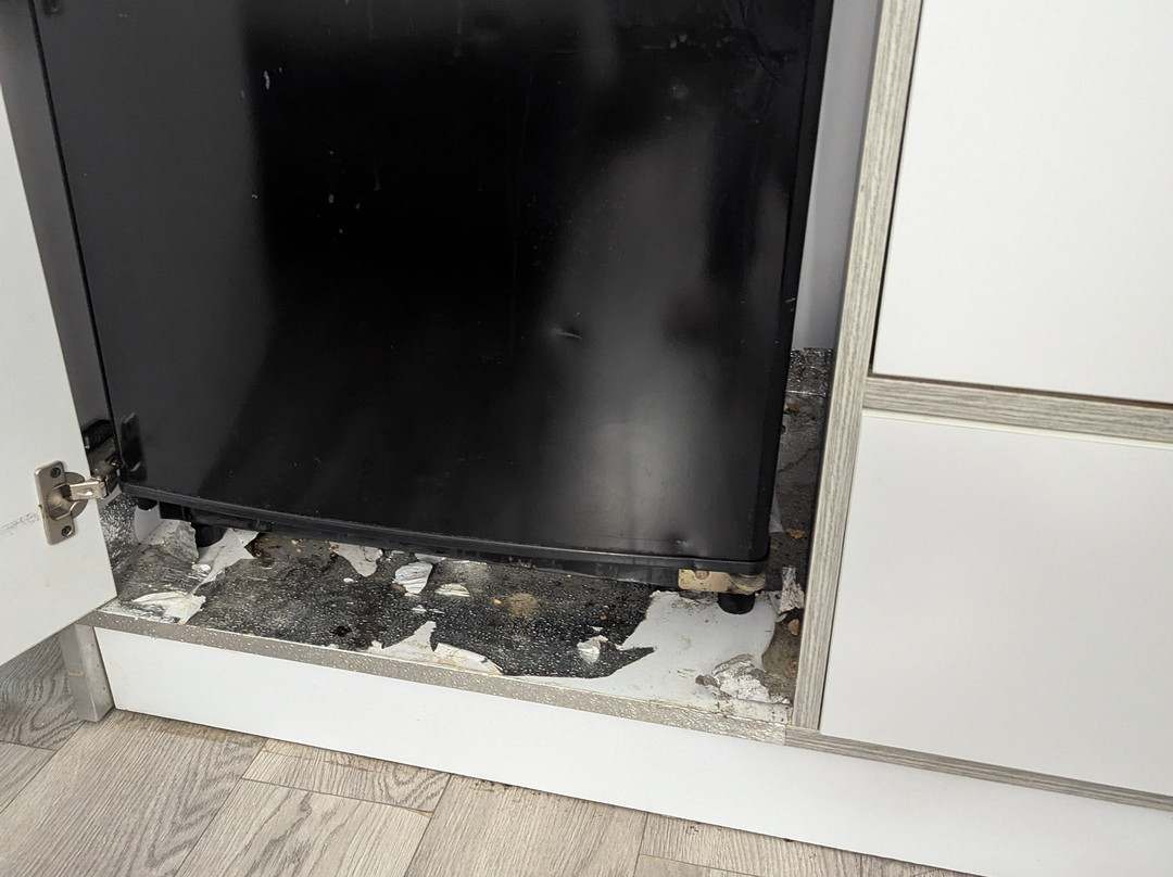 Baymont by Wyndham Peoria主图