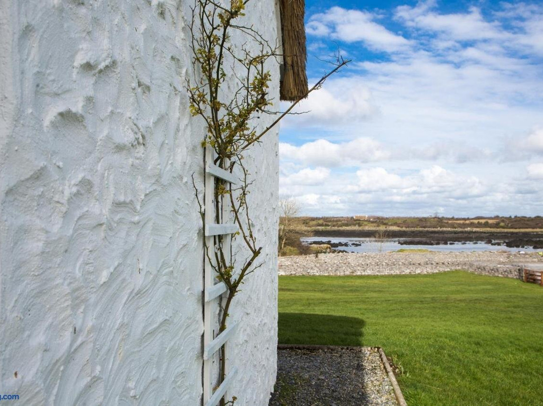 Dunguaire House主图