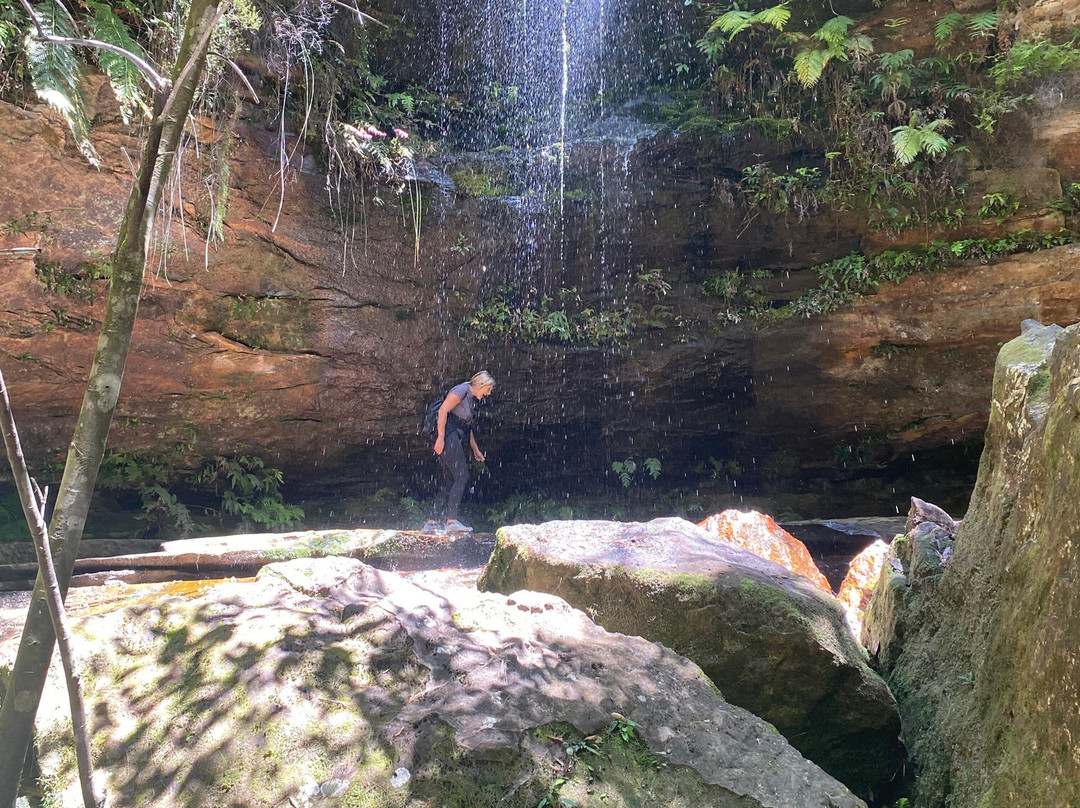 Grand Canyon Track-Blue Mountains National Park必去景点