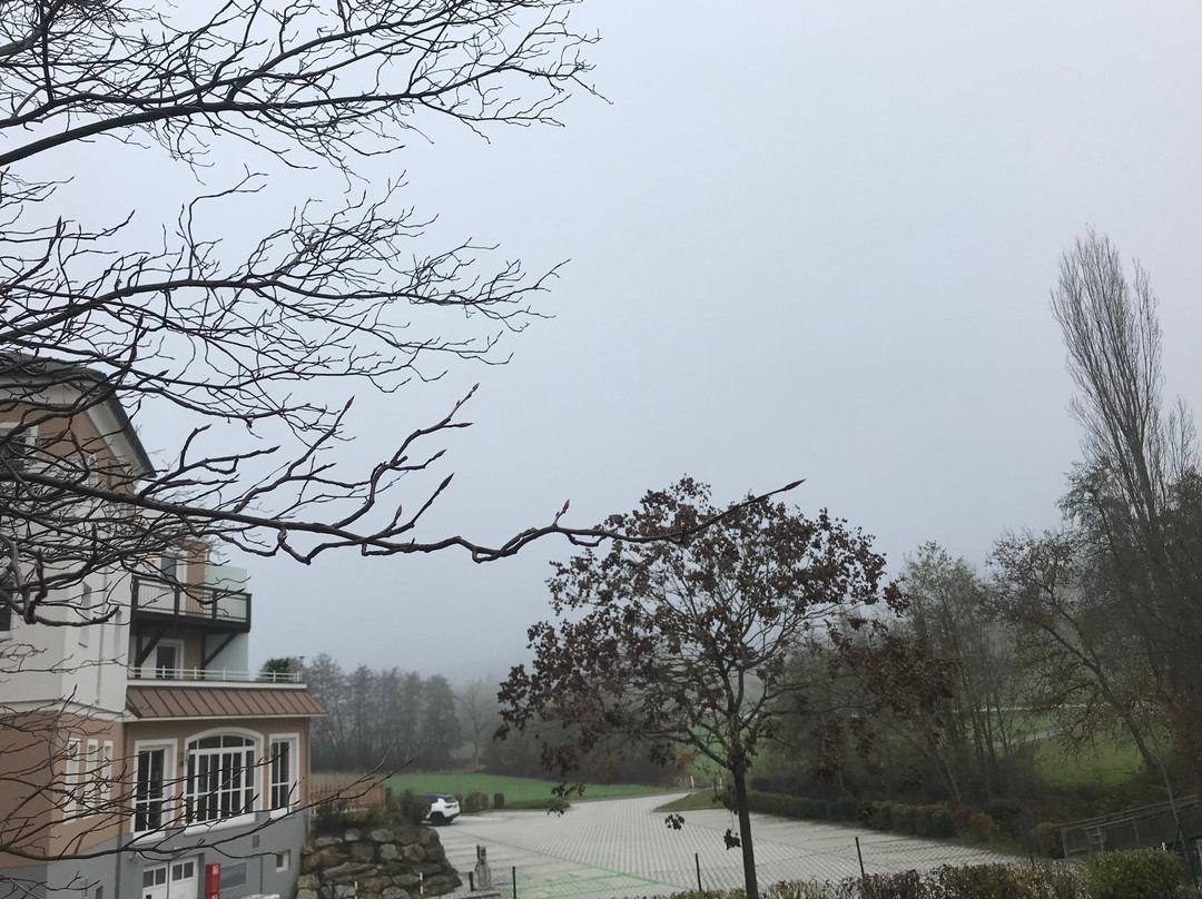 燕纳斯村酒店住宿-Maiers Hotel Schlafgut