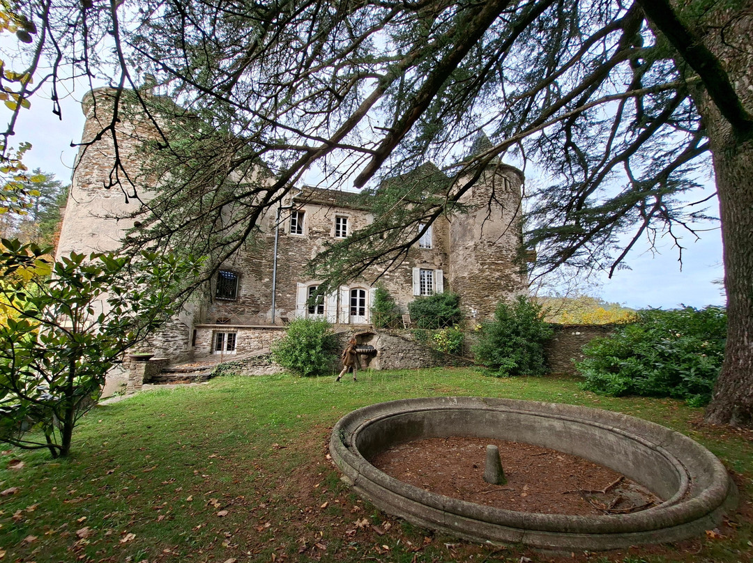 Château de Cambiaire主图