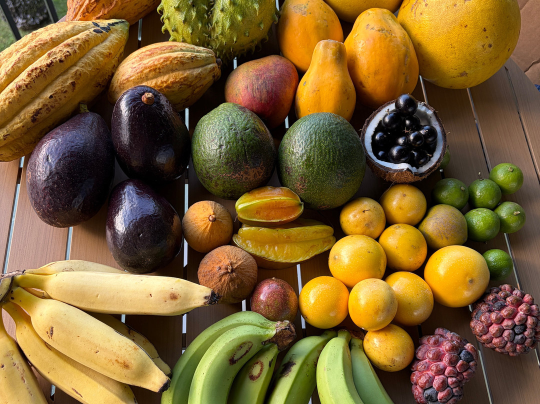 ONO Organic Farms-哈纳必去景点