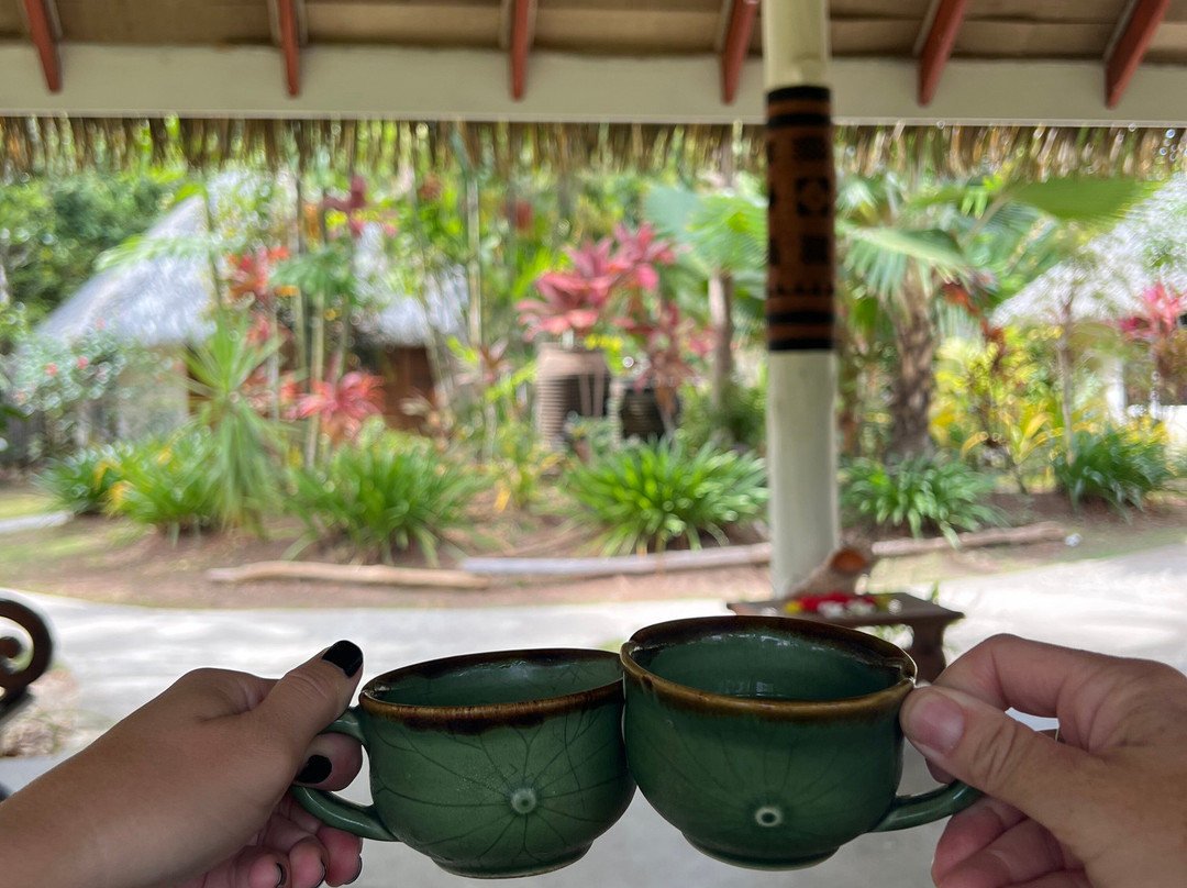 Makare Spa Fiji-马洛洛莱莱岛必去景点