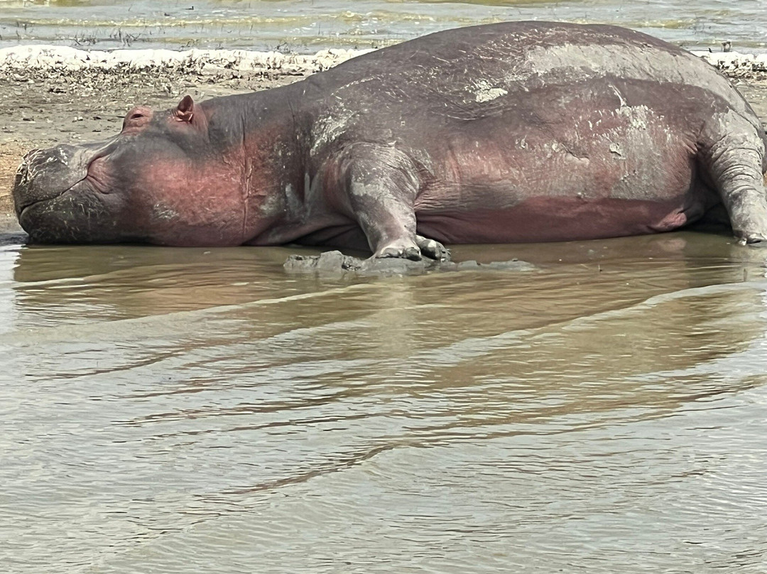 Shah Tours-莫西必去景点