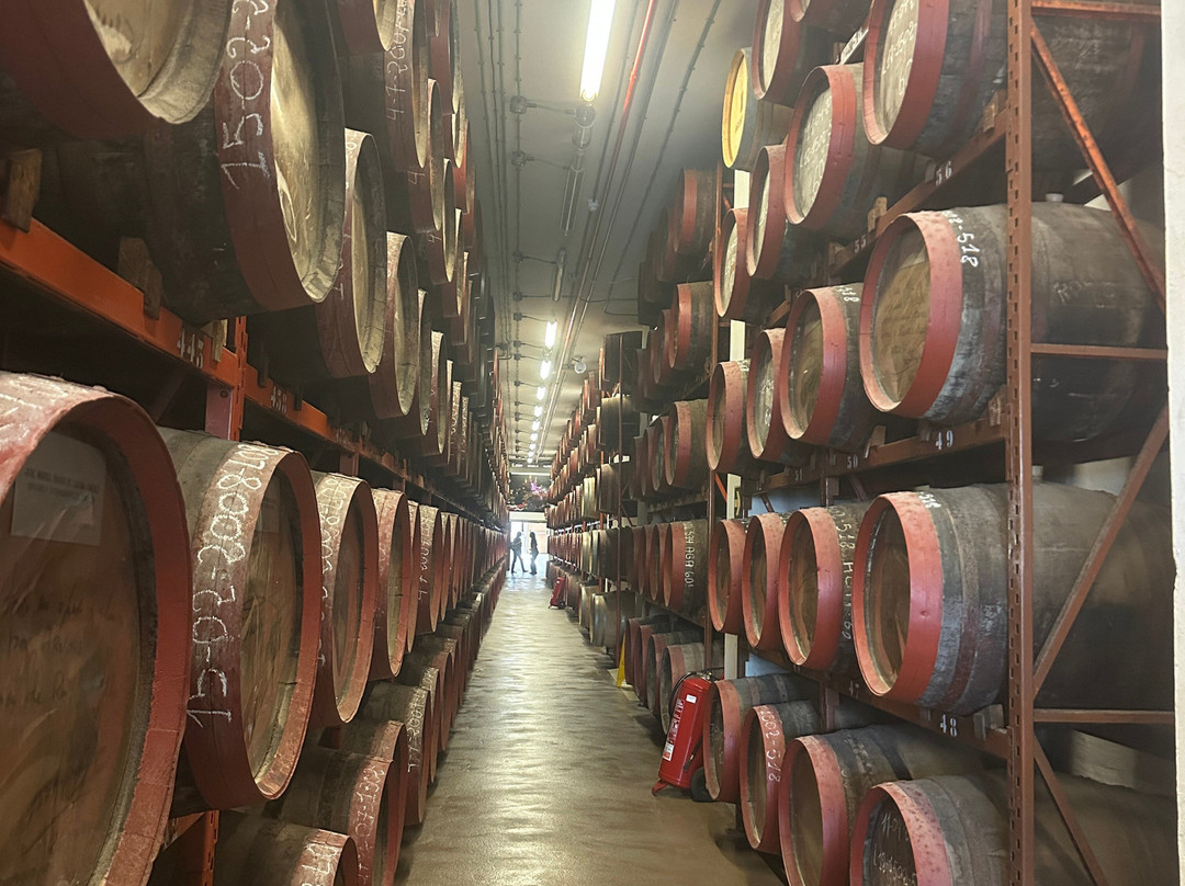 Arehucas Rum Distillery-Arucas必去景点