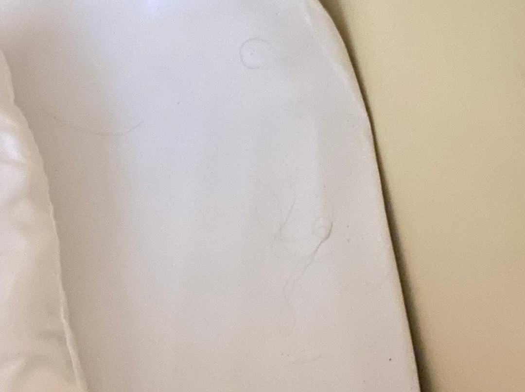 Apartahotel Hipocampo主图