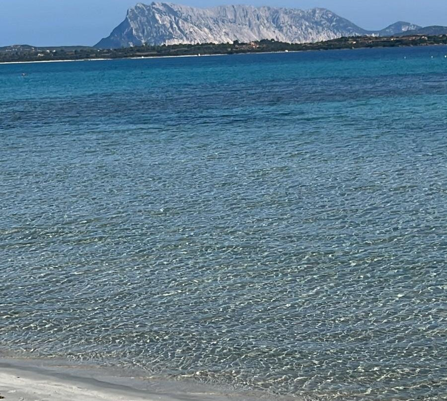 L'Area Naturale Marina Protetta Tavolara - Punta Coda Cavallo-奥尔比亚必去景点
