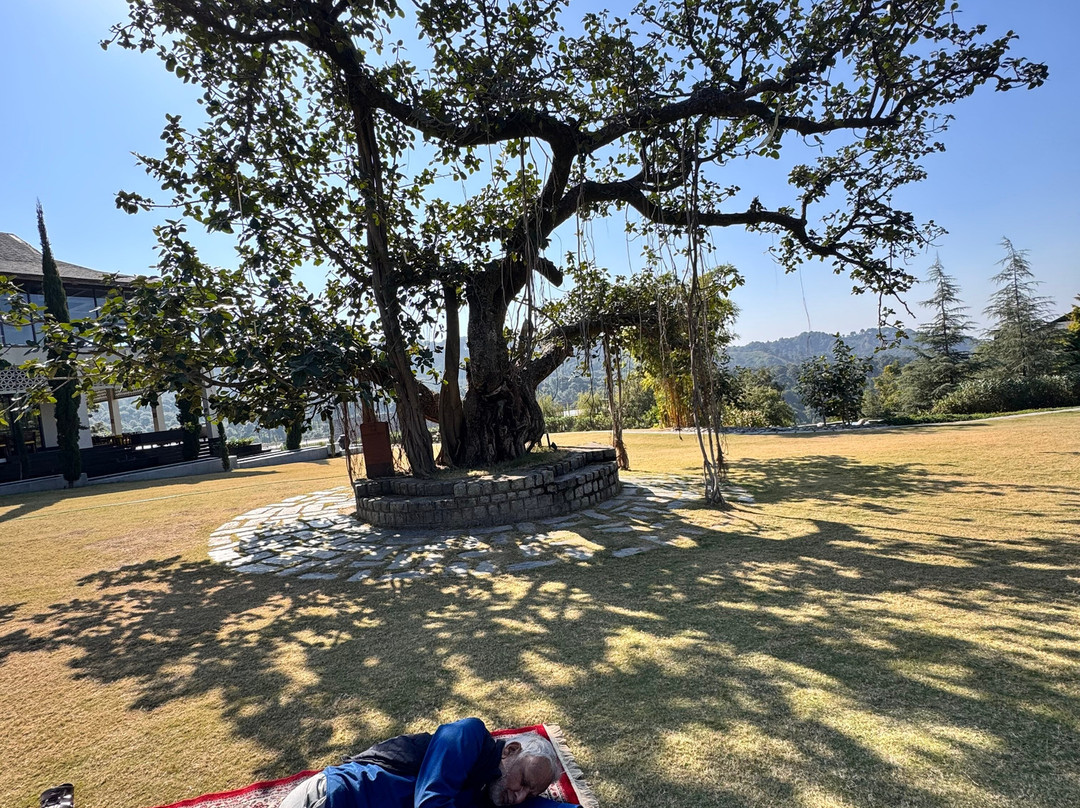 Storii by ITC Hotels Amoha Retreat主图