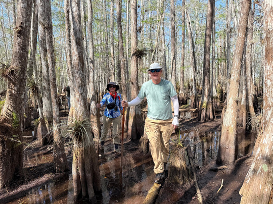 Everglades Institute-霍姆斯特德必去景点