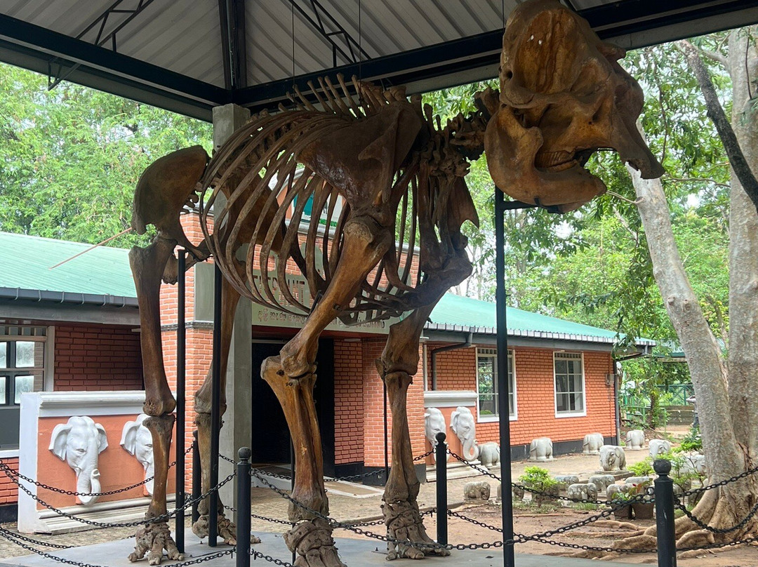 Elephant Transit Home (ETH)-乌达瓦拉维国家公园必去景点