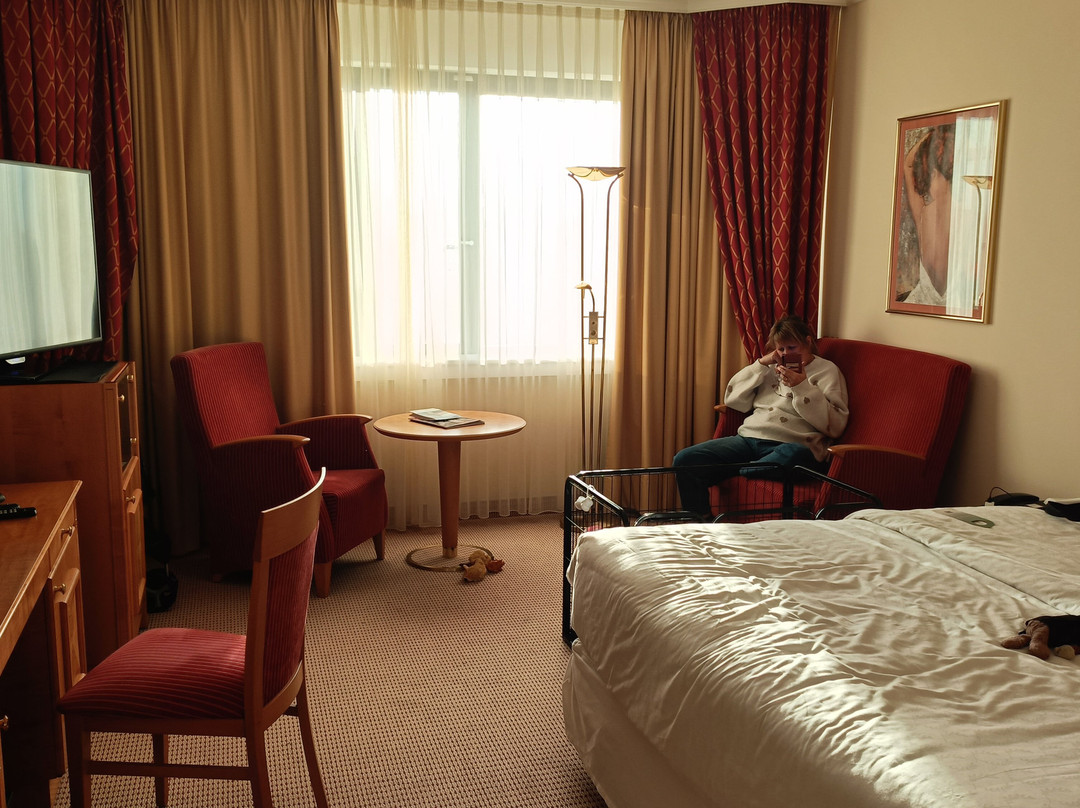 埃森市喜来登酒店主图