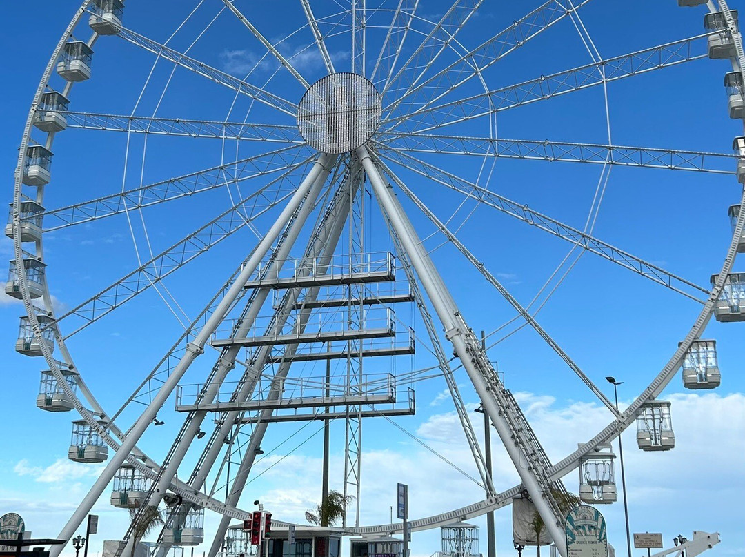 Lungomare e Murat-巴里必去景点