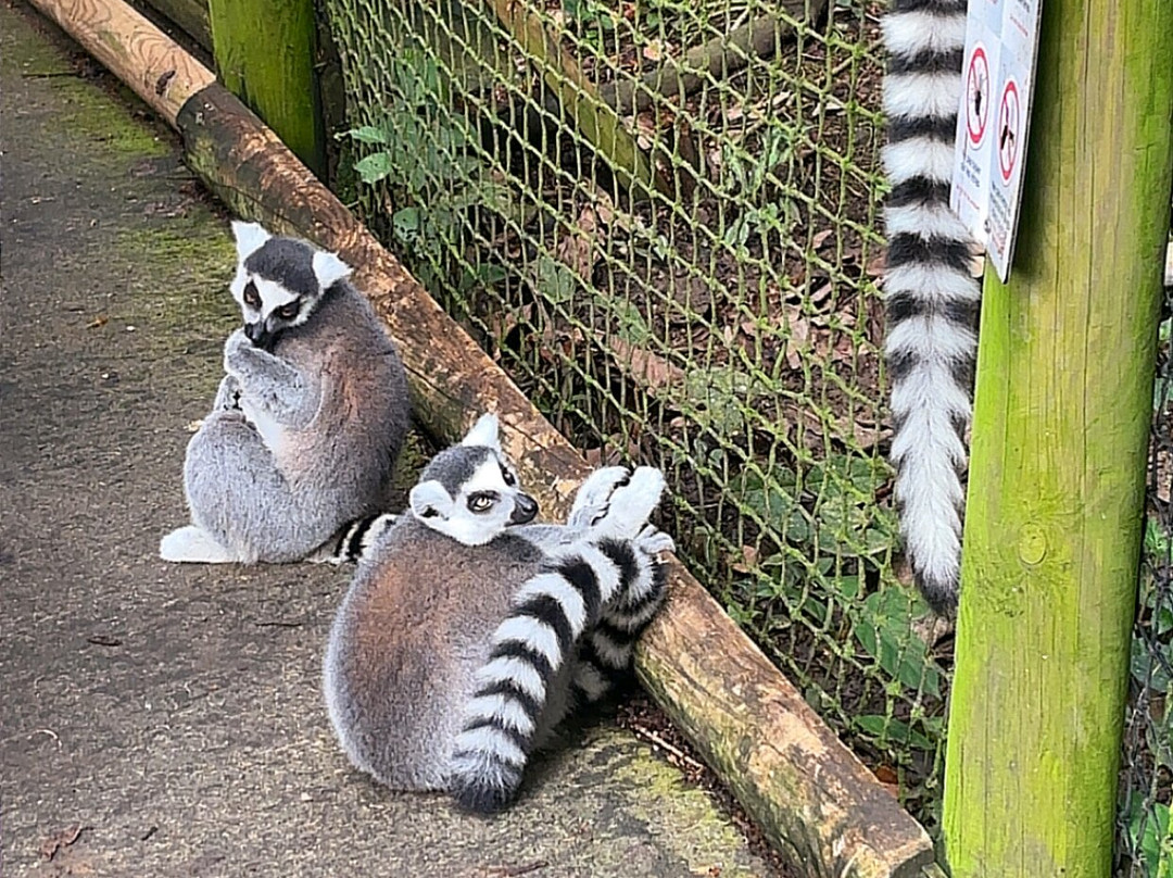 Zoo De Guadeloupe Au Parc Des Mamelles-Bouillante必去景点