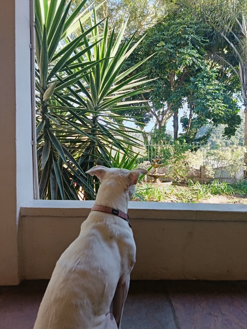 老贸易的岗位酒店-官方