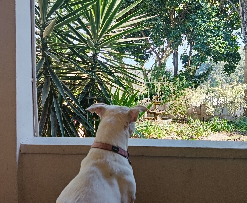 老贸易的岗位酒店主图